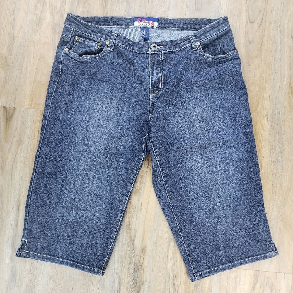 Swak Gray Embossed Back Pocket Capri Jeans Size 18 — image 2 of 8